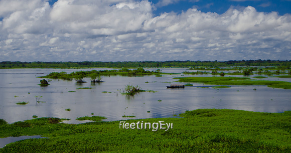 The Mighty Amazon