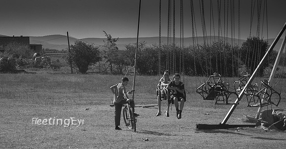 Swings
