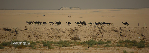 Caravan