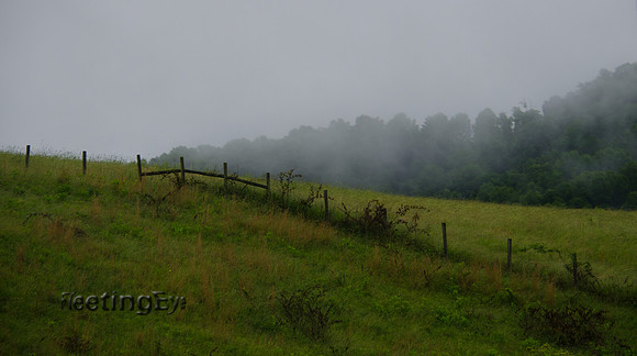 Field