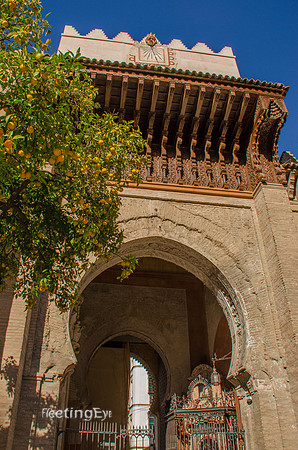 Palace and Oranges