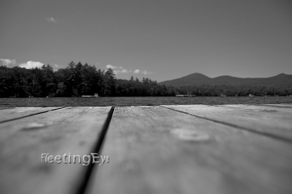 MaineEye View