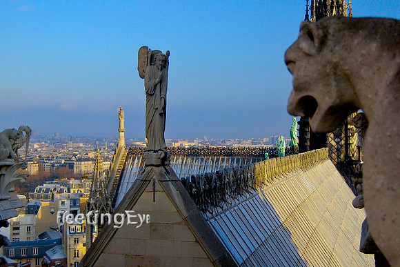 Notre Dame Rooftop