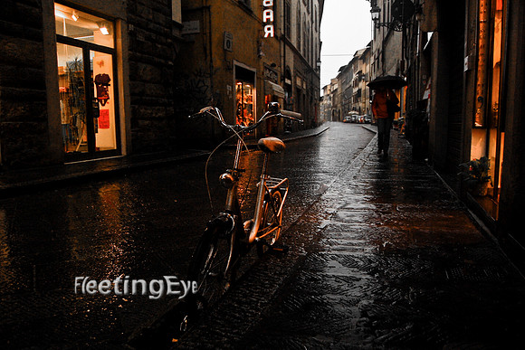 Firenze Bicycle