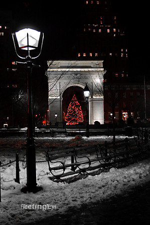 Washington Square at Christmas