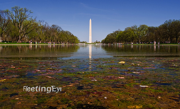 Washington Monument