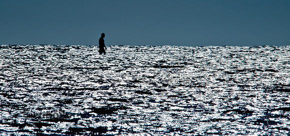 Ocean Walk