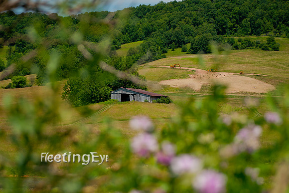 Green Farm