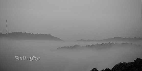 Foggy Morning