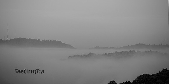 Foggy Morning