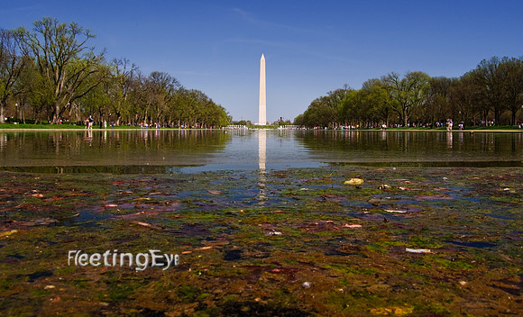 Washington Monument