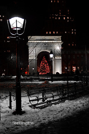 Washington Square at Christmas