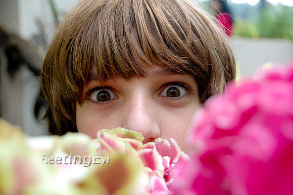Peek-a-boo