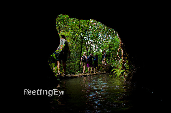 Through the Tunnel