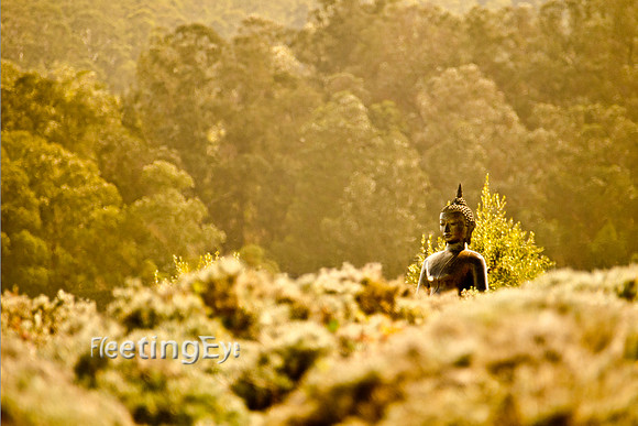 Buddah