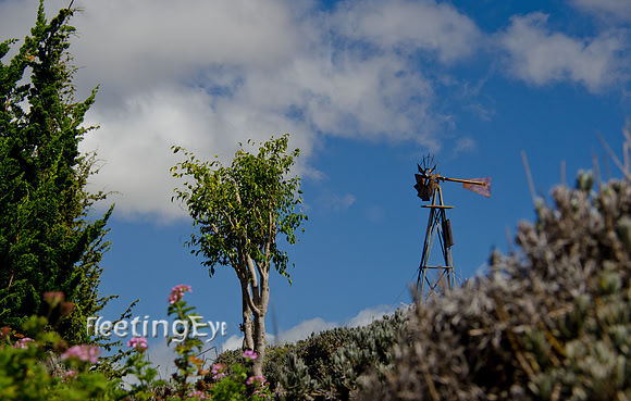 Mountain Windmill