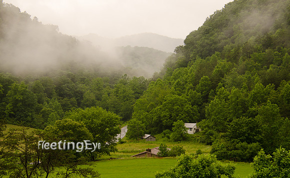 Carter Valley