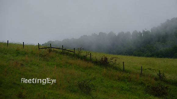 Field