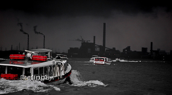 The Flip Side of Venice