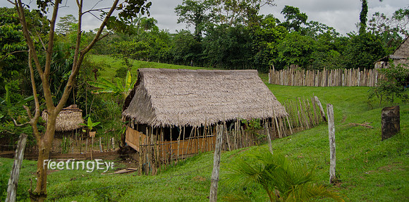 Amazon Hut