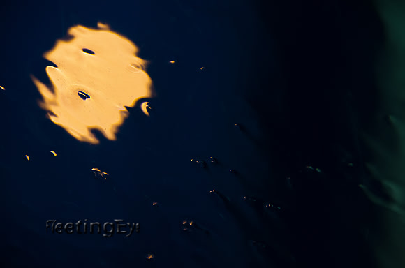 Moon Window