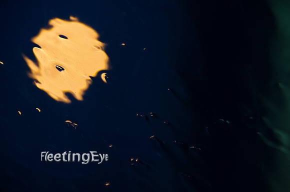 Moon Window