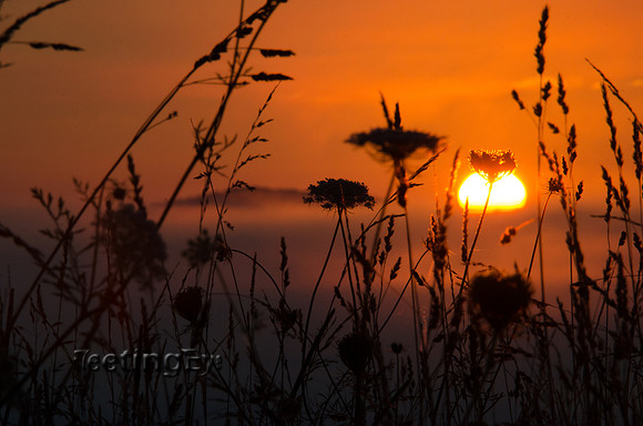 Sunrise in Appalachia