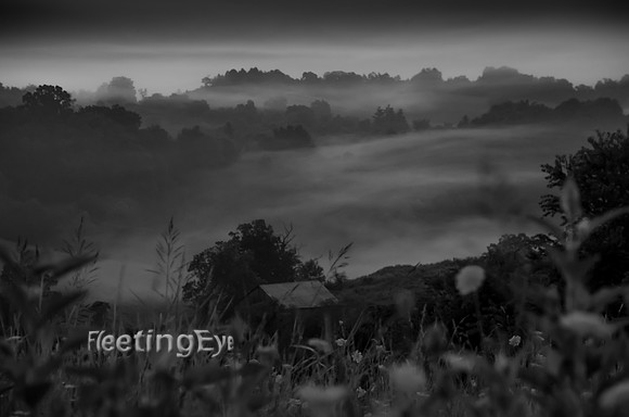 Fog over the Valley
