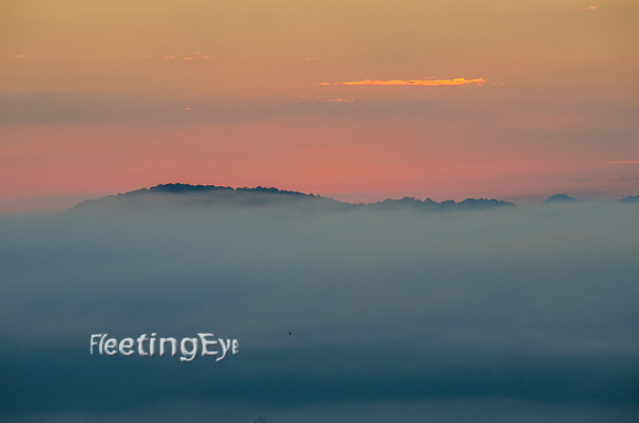 Foggy Sunrise