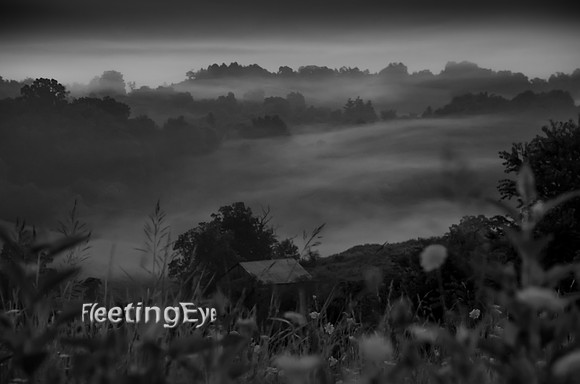 Fog over the Valley