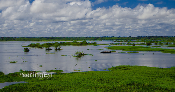 The Mighty Amazon