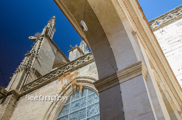 The Cathedral