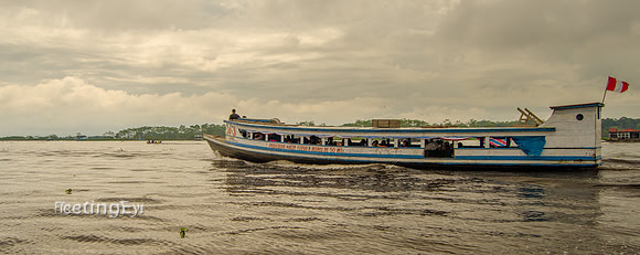 Navigating the Amazon