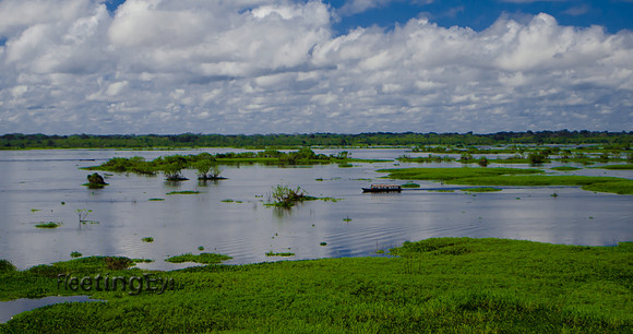 The Mighty Amazon