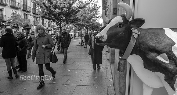 Streetcow