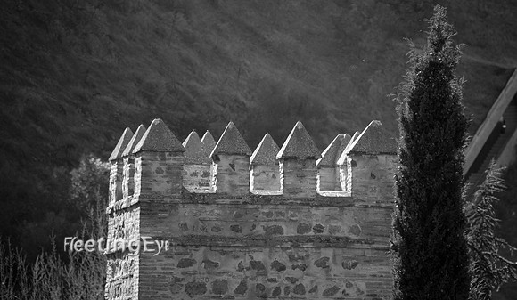 Toledo Castle