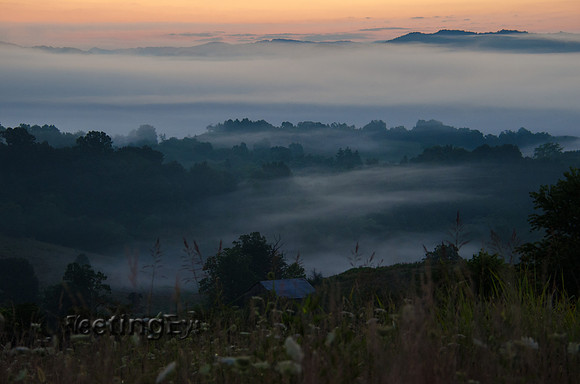 Fog over the Valley 2