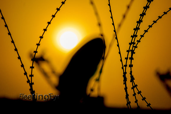 Barbed Wire Love
