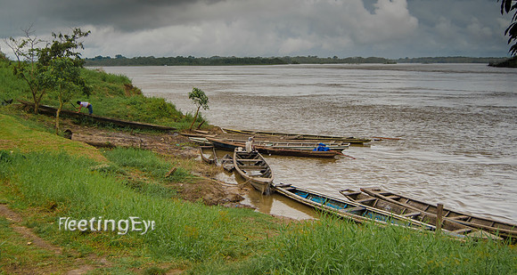 On the Amazon
