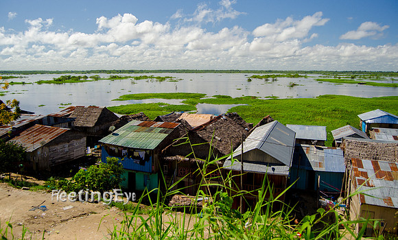 Amazon Shacks