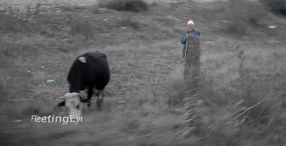 Man in the Field